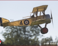 TSR Watermark - 0500
